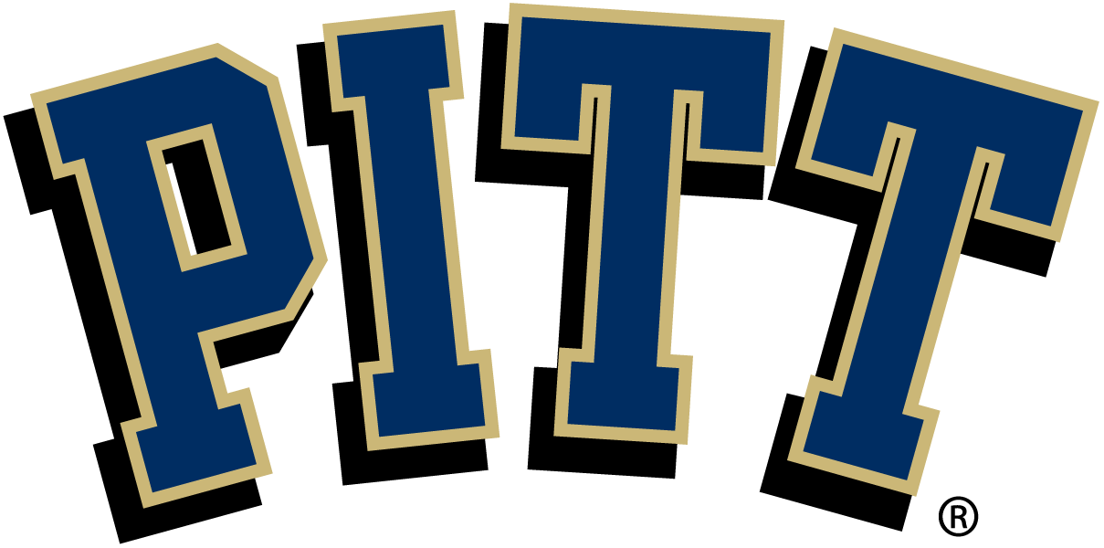 Pittsburgh Panthers iron ons
